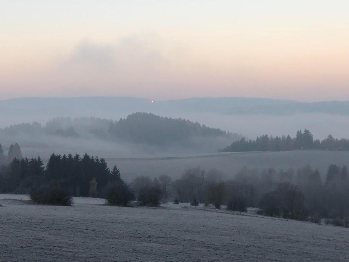 Falkenblick Og Im Fh Falkenhoehe *